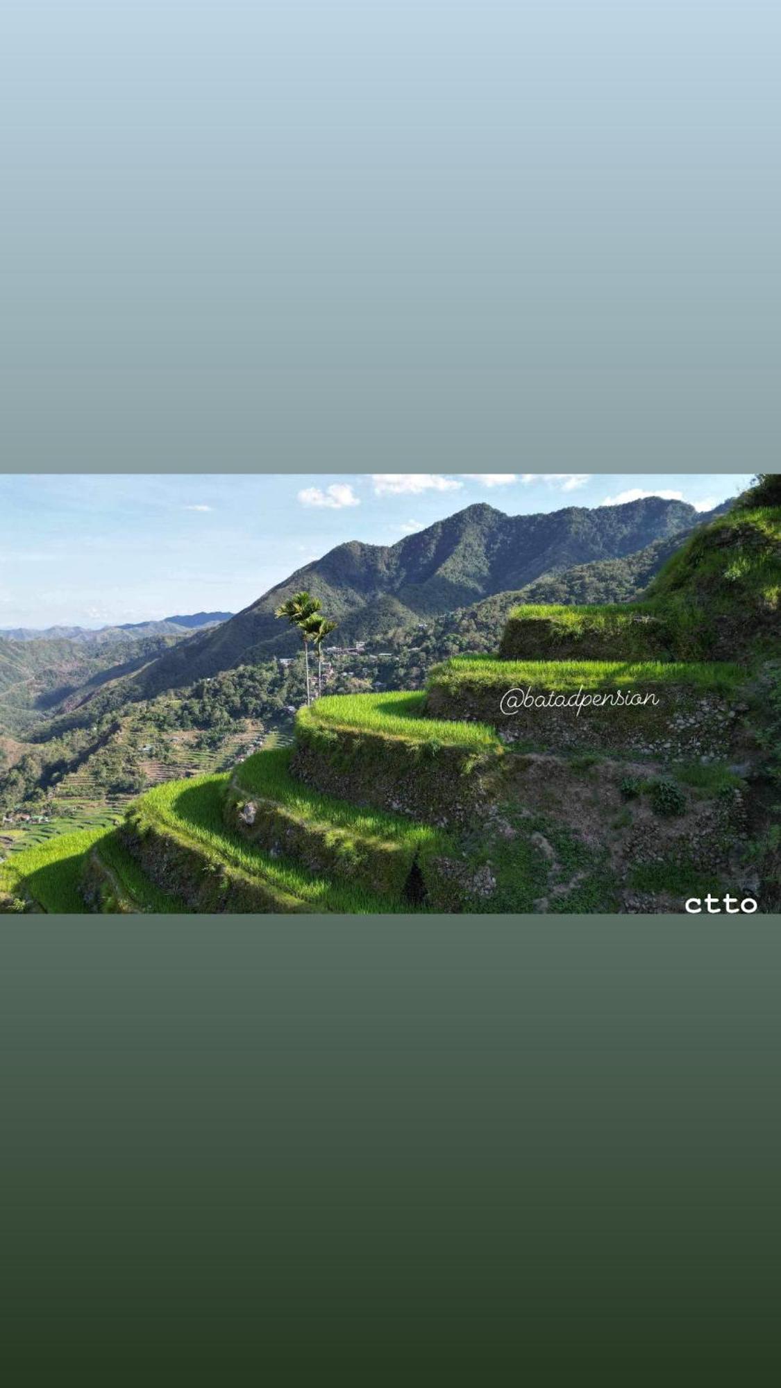 Batad Pension Ph Banaue Εξωτερικό φωτογραφία